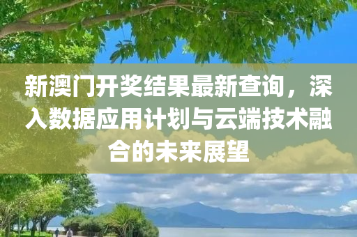 新澳门开奖结果最新查询，深入数据应用计划与云端技术融合的未来展望