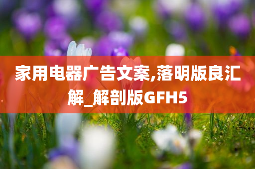 家用电器广告文案,落明版良汇解_解剖版GFH5