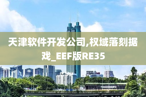 天津软件开发公司,权域落刻据戏_EEF版RE35