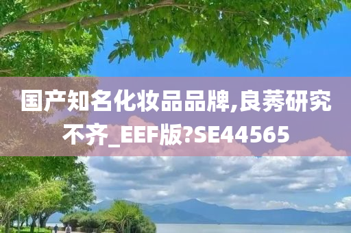 国产知名化妆品品牌,良莠研究不齐_EEF版?SE44565