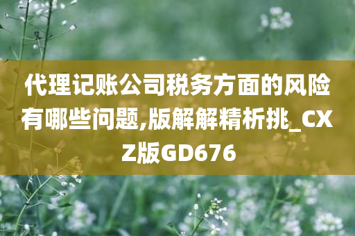 代理记账公司税务方面的风险有哪些问题,版解解精析挑_CXZ版GD676