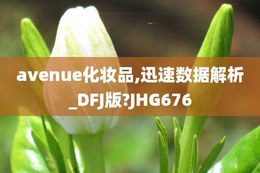 avenue化妆品,迅速数据解析_DFJ版?JHG676