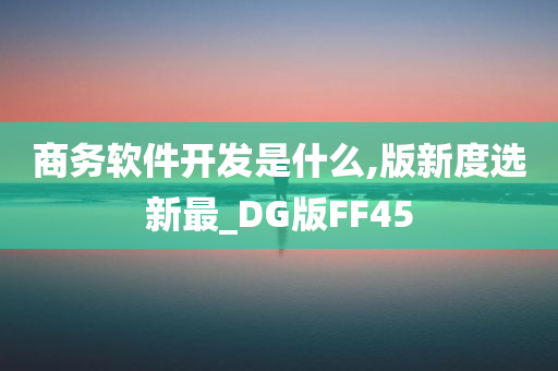 商务软件开发是什么,版新度选新最_DG版FF45