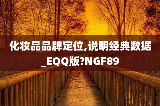 化妆品品牌定位,说明经典数据_EQQ版?NGF89