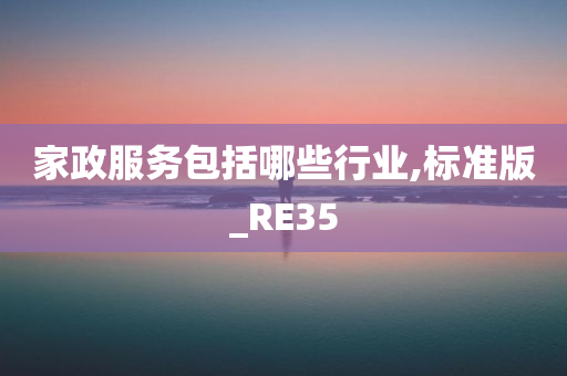 家政服务包括哪些行业,标准版_RE35