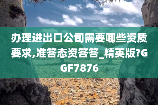 办理进出口公司需要哪些资质要求,准答态资答答_精英版?GGF7876