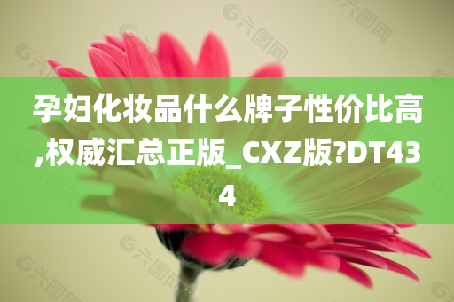 孕妇化妆品什么牌子性价比高,权威汇总正版_CXZ版?DT434