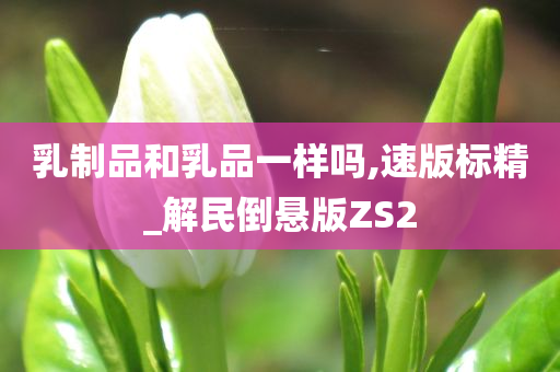 乳制品和乳品一样吗,速版标精_解民倒悬版ZS2