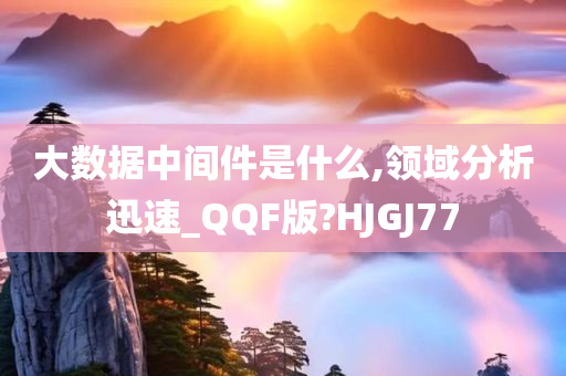 大数据中间件是什么,领域分析迅速_QQF版?HJGJ77