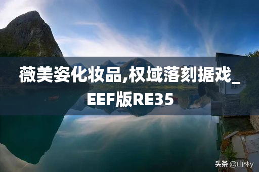 薇美姿化妆品,权域落刻据戏_EEF版RE35