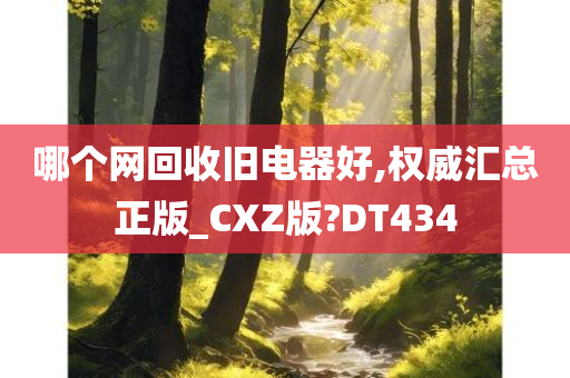 哪个网回收旧电器好,权威汇总正版_CXZ版?DT434