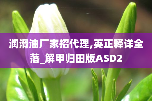 润滑油厂家招代理,英正释详全落_解甲归田版ASD2