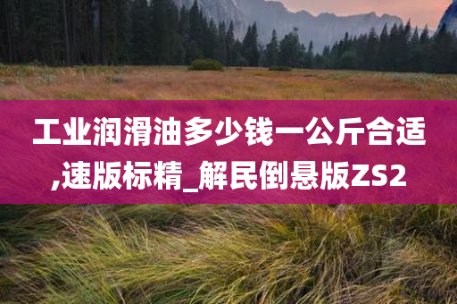 工业润滑油多少钱一公斤合适,速版标精_解民倒悬版ZS2