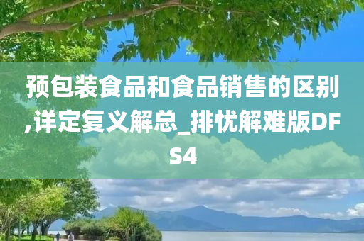 预包装食品和食品销售的区别,详定复义解总_排忧解难版DFS4