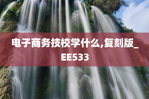 电子商务技校学什么,复刻版_EE533