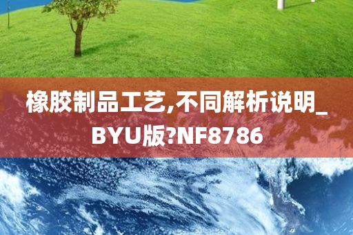 橡胶制品工艺,不同解析说明_BYU版?NF8786