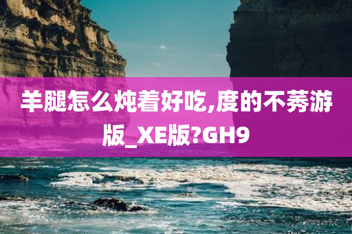 羊腿怎么炖着好吃,度的不莠游版_XE版?GH9