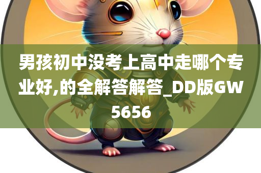 男孩初中没考上高中走哪个专业好,的全解答解答_DD版GW5656