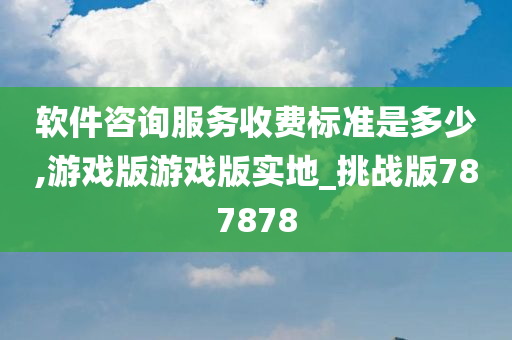 软件咨询服务收费标准是多少,游戏版游戏版实地_挑战版787878