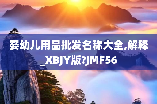 婴幼儿用品批发名称大全,解释_XBJY版?JMF56