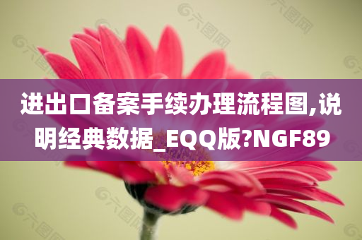 进出口备案手续办理流程图,说明经典数据_EQQ版?NGF89