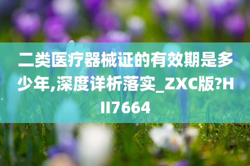 二类医疗器械证的有效期是多少年,深度详析落实_ZXC版?HII7664