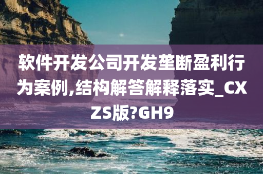 软件开发公司开发垄断盈利行为案例,结构解答解释落实_CXZS版?GH9