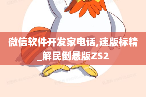 微信软件开发家电话,速版标精_解民倒悬版ZS2