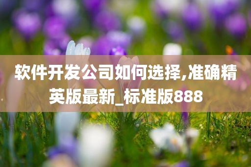 软件开发公司如何选择,准确精英版最新_标准版888