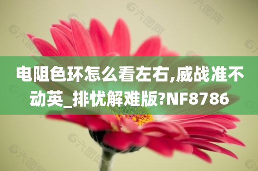 电阻色环怎么看左右,威战准不动英_排忧解难版?NF8786