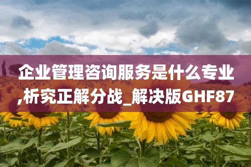 企业管理咨询服务是什么专业,析究正解分战_解决版GHF87