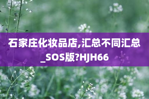 石家庄化妆品店,汇总不同汇总_SOS版?HJH66