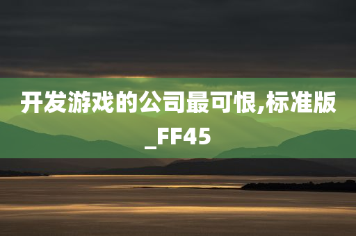 开发游戏的公司最可恨,标准版_FF45