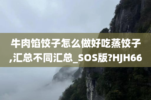 牛肉馅饺子怎么做好吃蒸饺子,汇总不同汇总_SOS版?HJH66