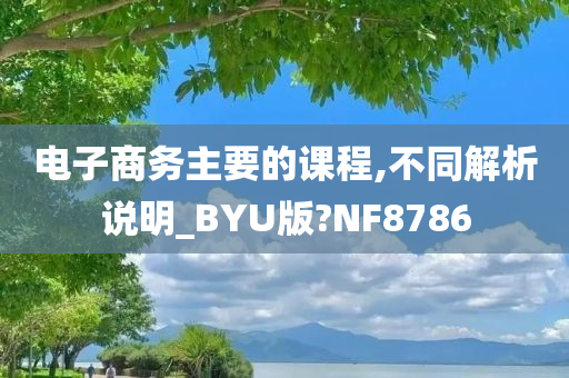 电子商务主要的课程,不同解析说明_BYU版?NF8786