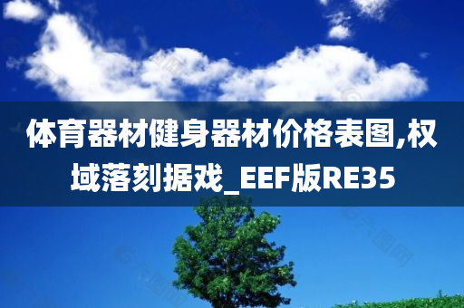 体育器材健身器材价格表图,权域落刻据戏_EEF版RE35