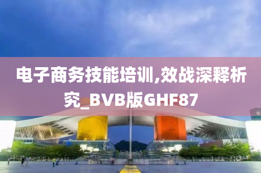 电子商务技能培训,效战深释析究_BVB版GHF87