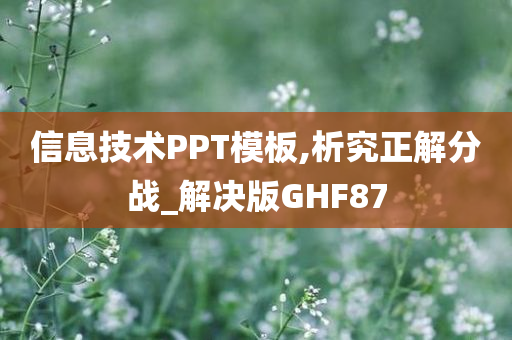 信息技术PPT模板,析究正解分战_解决版GHF87