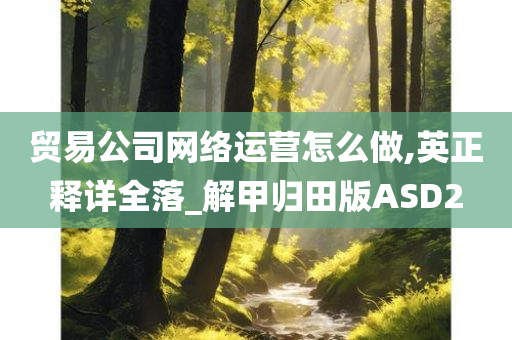 贸易公司网络运营怎么做,英正释详全落_解甲归田版ASD2