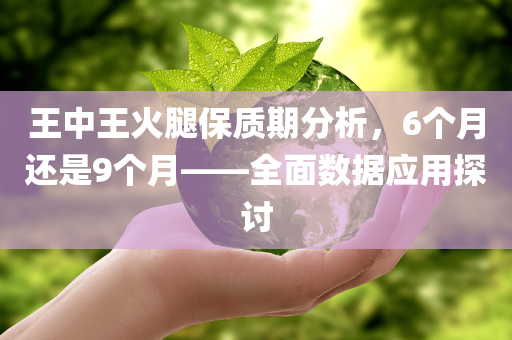 王中王火腿保质期分析，6个月还是9个月——全面数据应用探讨