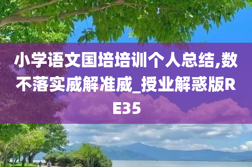 小学语文国培培训个人总结,数不落实威解准威_授业解惑版RE35