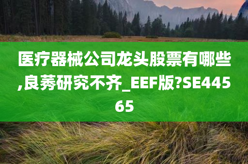 医疗器械公司龙头股票有哪些,良莠研究不齐_EEF版?SE44565