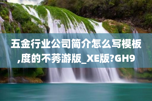 五金行业公司简介怎么写模板,度的不莠游版_XE版?GH9