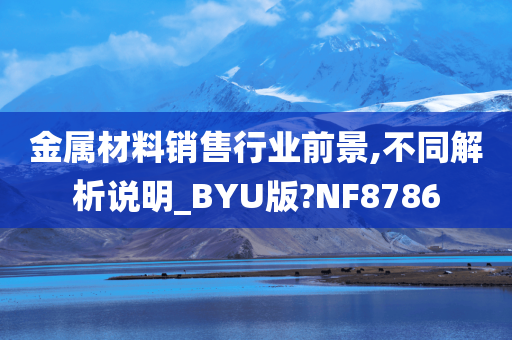 金属材料销售行业前景,不同解析说明_BYU版?NF8786