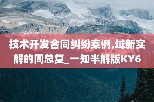 技术开发合同纠纷案例,域新实解的同总复_一知半解版KY6