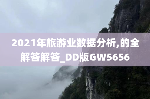 2021年旅游业数据分析,的全解答解答_DD版GW5656