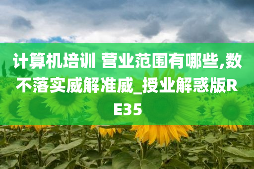 计算机培训 营业范围有哪些,数不落实威解准威_授业解惑版RE35