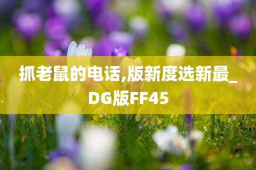 抓老鼠的电话,版新度选新最_DG版FF45