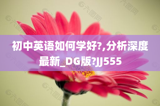 初中英语如何学好?,分析深度最新_DG版?JJ555