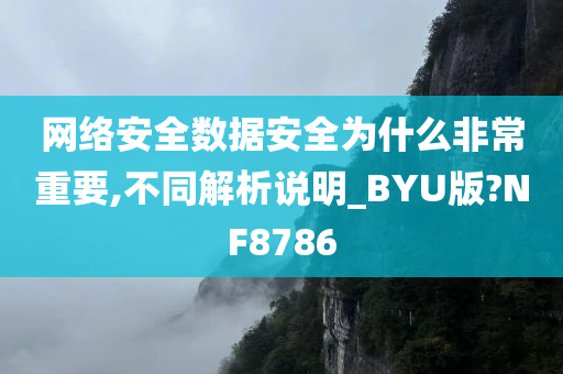 网络安全数据安全为什么非常重要,不同解析说明_BYU版?NF8786